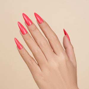 LAVIS 3 in 1 - 061 Pomegrenadine - Acrylic & Dip Powder, Gel & Lacquer by LAVIS NAILS sold by DTK Nail Supply