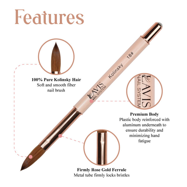 Lavis Kolinsky Acrylic Brush Pink #14 by LAVIS sold by DTK Nail Supply