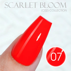 LAVIS C02 - Set 24 Colors - Gel Polish 0.5 oz - Scarlet Bloom Collection by LAVIS NAILS sold by DTK Nail Supply