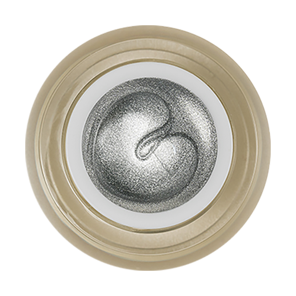 LDS Painting Gel Nail Art - 0.5oz Silver 02 by LDS sold by DTK Nail Supply