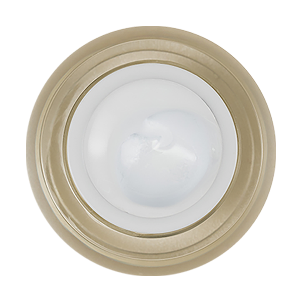 LDS Painting Gel Nail Art - 0.5oz White 03 by LDS sold by DTK Nail Supply