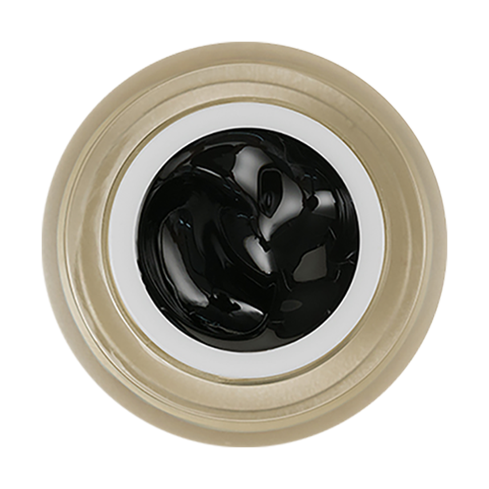 LDS Painting Gel Nail Art - 0.5oz Black 04 by LDS sold by DTK Nail Supply