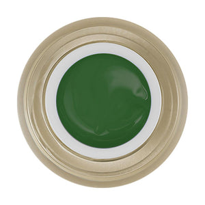 LDS Painting Gel Nail Art - 0.5oz Green 11 by LDS sold by DTK Nail Supply