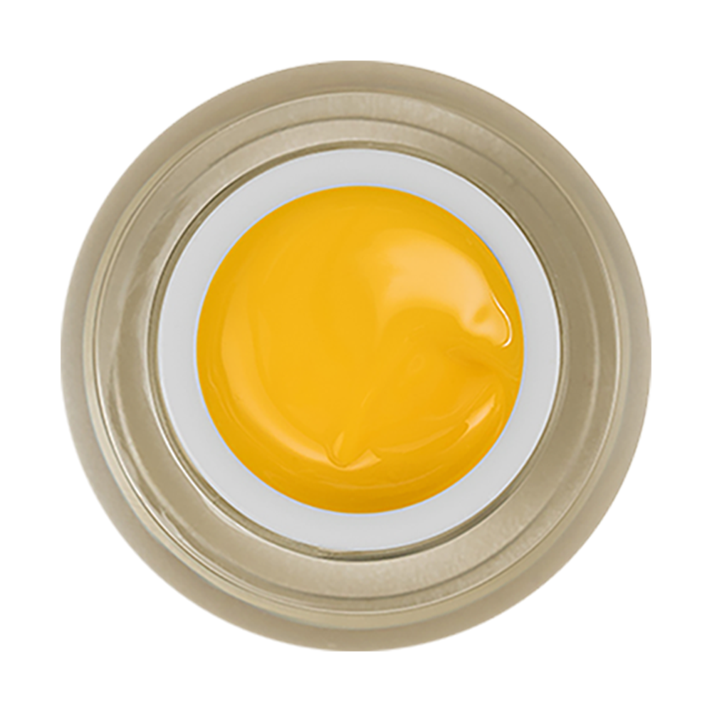 LDS Painting Gel Nail Art - 0.5oz Yellow 12 by LDS sold by DTK Nail Supply