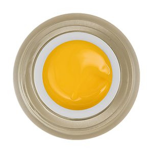 LDS Painting Gel Nail Art - 0.5oz Yellow 12 by LDS sold by DTK Nail Supply