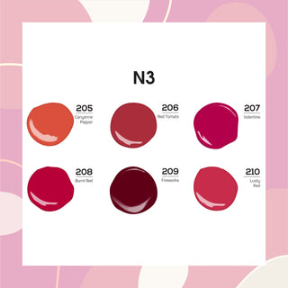  Lavis Nail Lacquer Holiday Fall Set N3 (6 colors): 205, 206, 207, 208, 209, 210 by LAVIS NAILS sold by DTK Nail Supply