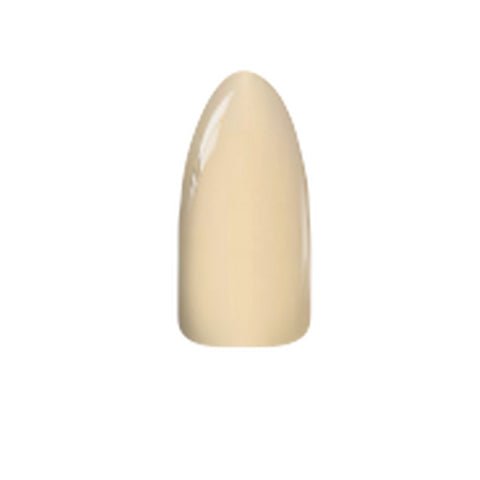 Chisel Acrylic & Dip Powder - S198 - DTK Nail Supply