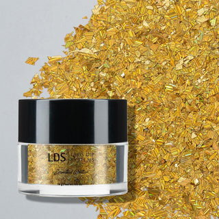  LDS Irregular Flakes Glitter DIG09 0.5 oz by LDS sold by DTK Nail Supply