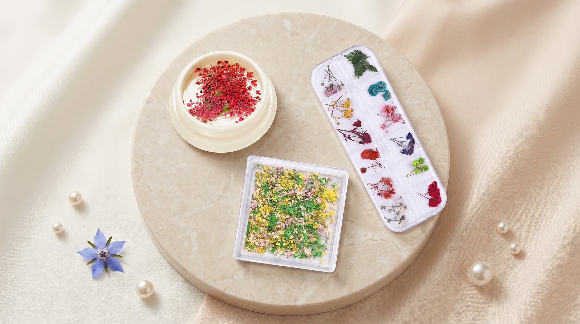 DRIED FLOWER - DTK Nail Supply