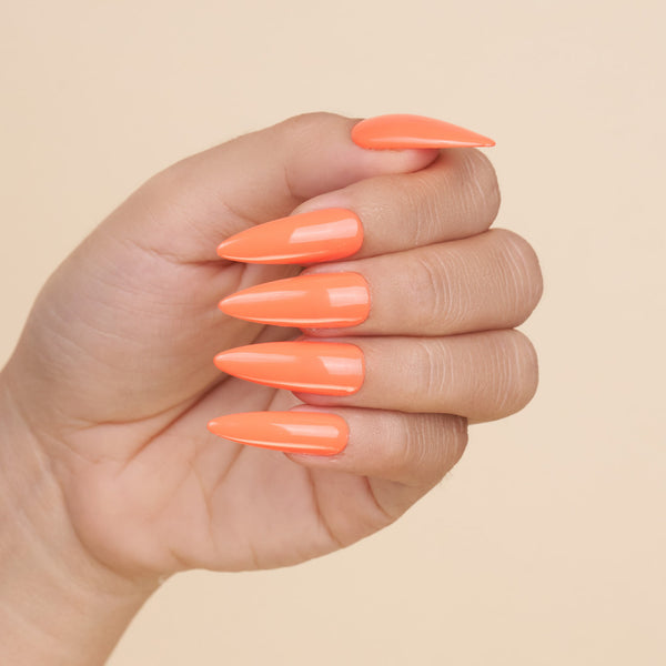  LAVIS 3 in 1 - 033 Glad Orange - Acrylic & Dip Powder, Gel & Lacquer by LAVIS NAILS sold by DTK Nail Supply