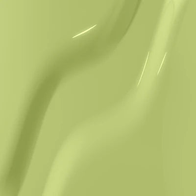 Kiara Sky Gel Pro - 042 Pistachio Pop