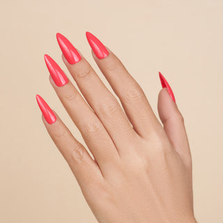  LAVIS 3 in 1 - 061 Pomegrenadine - Acrylic & Dip Powder, Gel & Lacquer by LAVIS NAILS sold by DTK Nail Supply