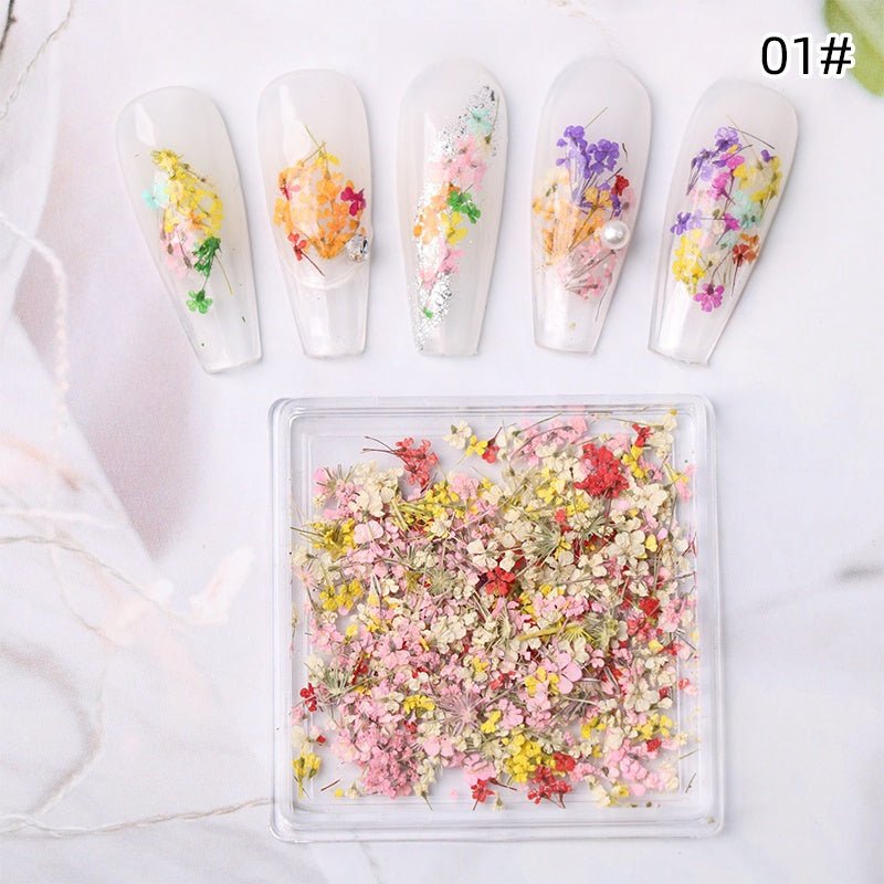 1 Box Natural Real Dry Flower Charm - S220 - 01 - Summer Glow - DTK Nail Supply