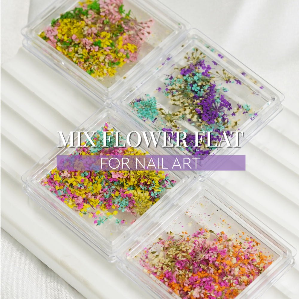 1 Box Natural Real Dry Flower Charm - S220 - 02 - Spring Blossom - DTK Nail Supply