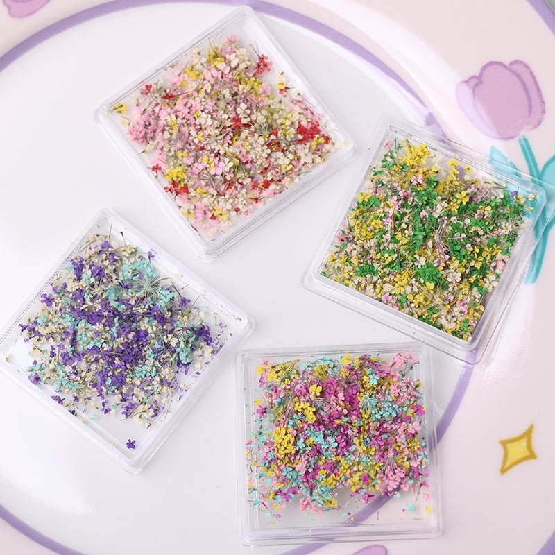 1 Box Natural Real Dry Flower Charm - S220 - 02 - Spring Blossom - DTK Nail Supply