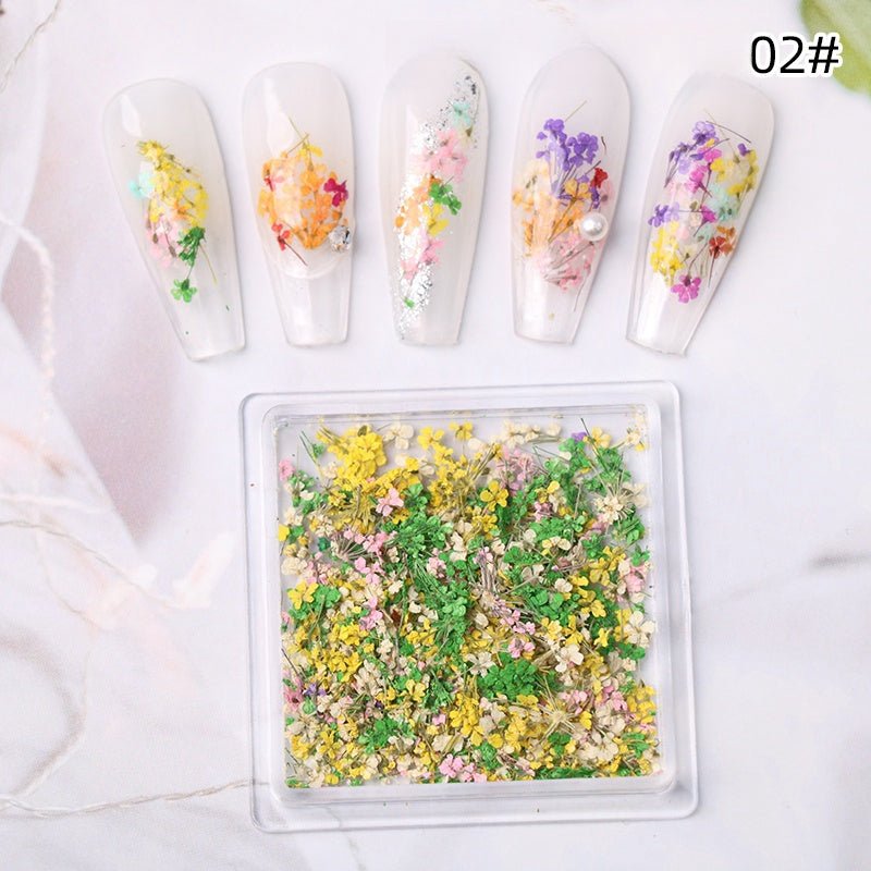 1 Box Natural Real Dry Flower Charm - S220 - 02 - Spring Blossom - DTK Nail Supply