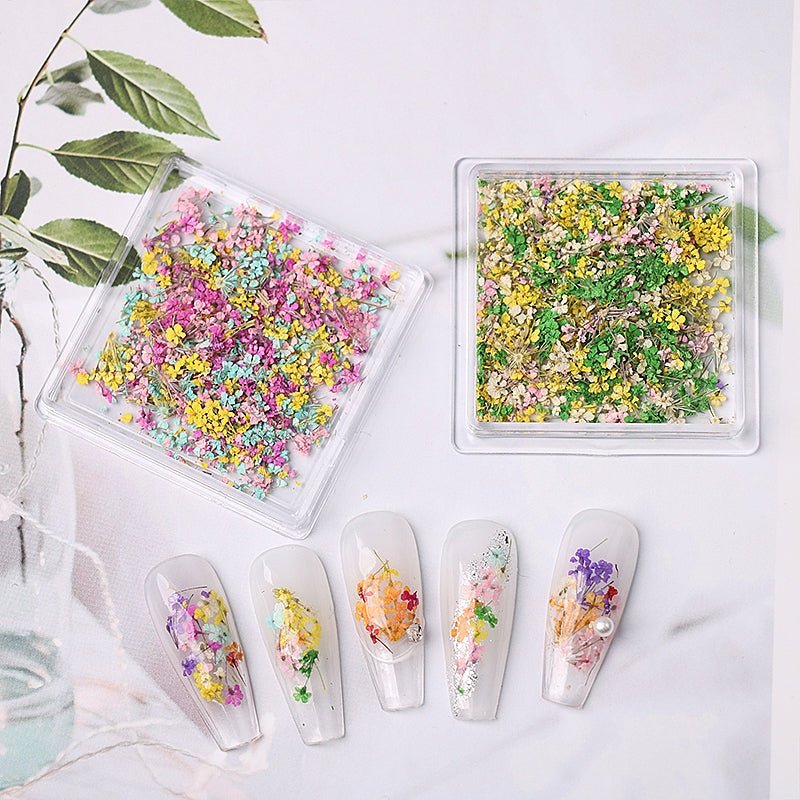 1 Box Natural Real Dry Flower Charm - S220 - 02 - Spring Blossom - DTK Nail Supply