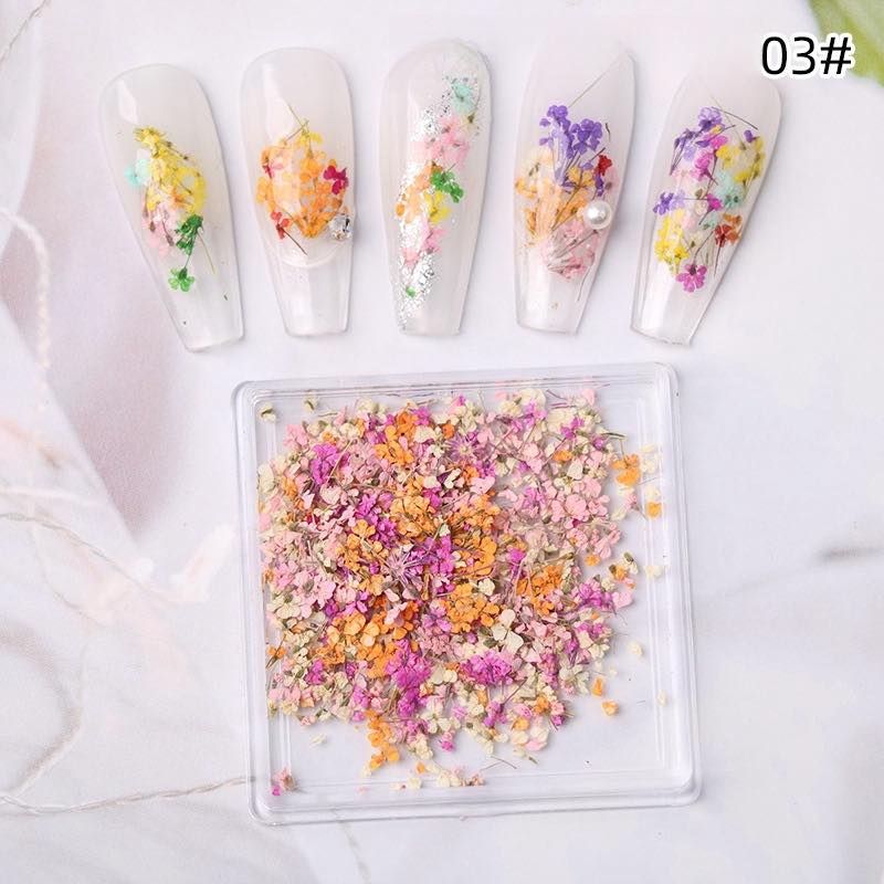 1 Box Natural Real Dry Flower Charm - S220 - 03 - Autumn Hedgerow - DTK Nail Supply