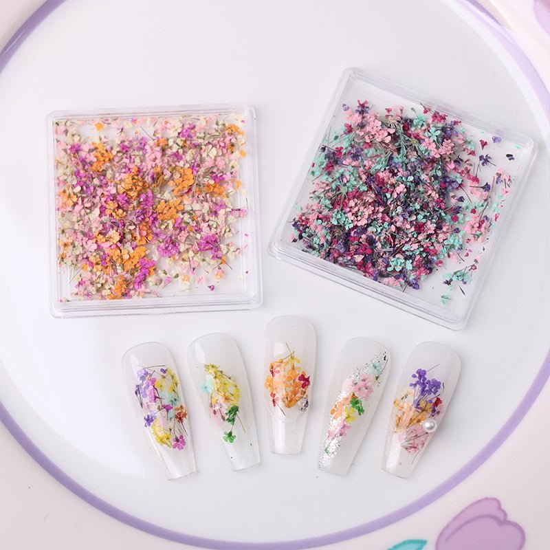 1 Box Natural Real Dry Flower Charm - S220 - 04 - Fruit of the Forest - DTK Nail Supply