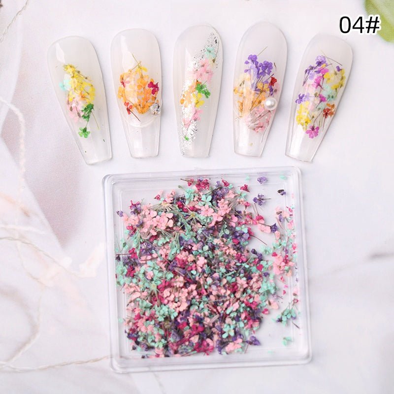 1 Box Natural Real Dry Flower Charm - S220 - 04 - Fruit of the Forest - DTK Nail Supply