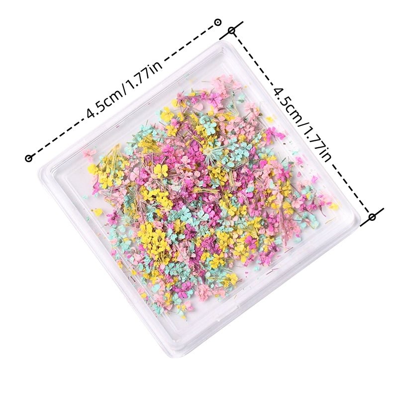 1 Box Natural Real Dry Flower Charm - S220 - 05 - Meadow Fantasy - DTK Nail Supply