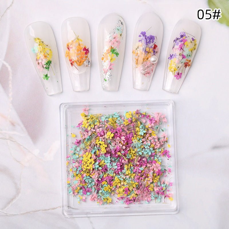 1 Box Natural Real Dry Flower Charm - S220 - 05 - Meadow Fantasy - DTK Nail Supply