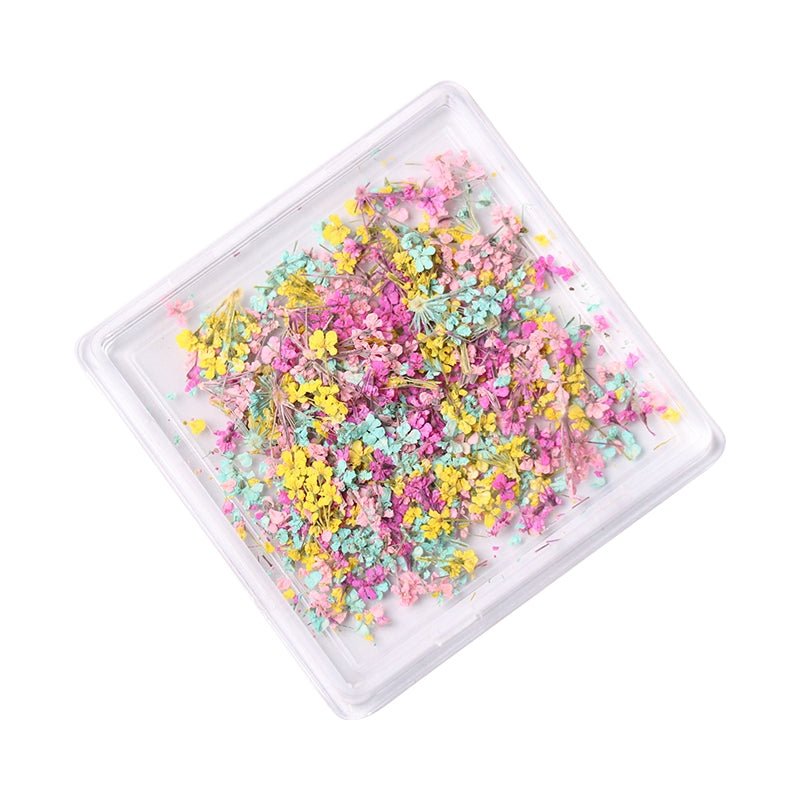 1 Box Natural Real Dry Flower Charm - S220 - 05 - Meadow Fantasy - DTK Nail Supply