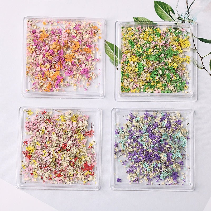 1 Box Natural Real Dry Flower Charm - S220 - 06 - Winter Wonder - DTK Nail Supply