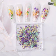 1 Box Natural Real Dry Flower Charm - S220 - 06 - Winter Wonder - DTK Nail Supply