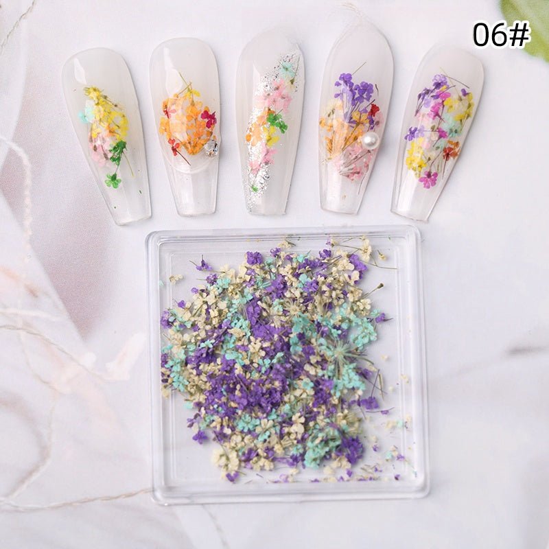 1 Box Natural Real Dry Flower Charm - S220 - 06 - Winter Wonder - DTK Nail Supply