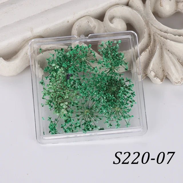 1 Box Natural Real Dry Flower Charm - S220 - 07 - Green Ava - DTK Nail Supply