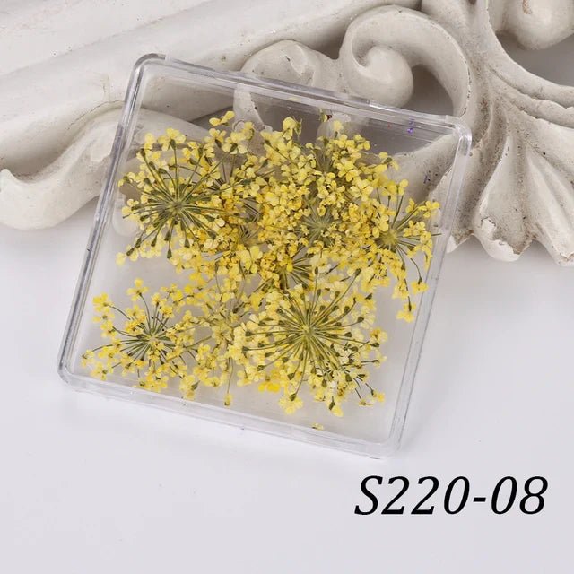 1 Box Natural Real Dry Flower Charm - S220 - 08 - Yellow Mellow - DTK Nail Supply