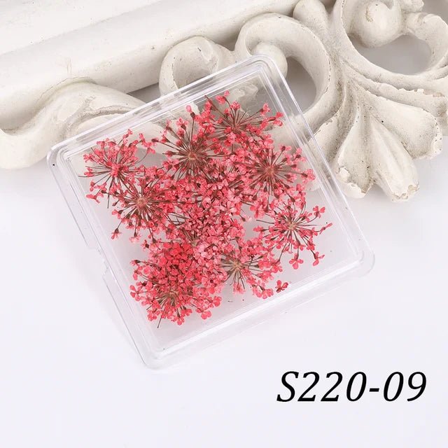1 Box Natural Real Dry Flower Charm - S220 - 09 - Red Romance - DTK Nail Supply