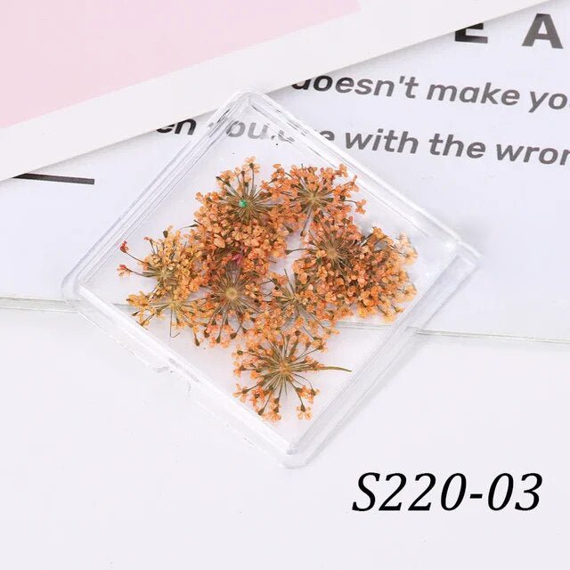 1 Box Natural Real Dry Flower Charm - S220 - 10 - Orange Frenzy - DTK Nail Supply