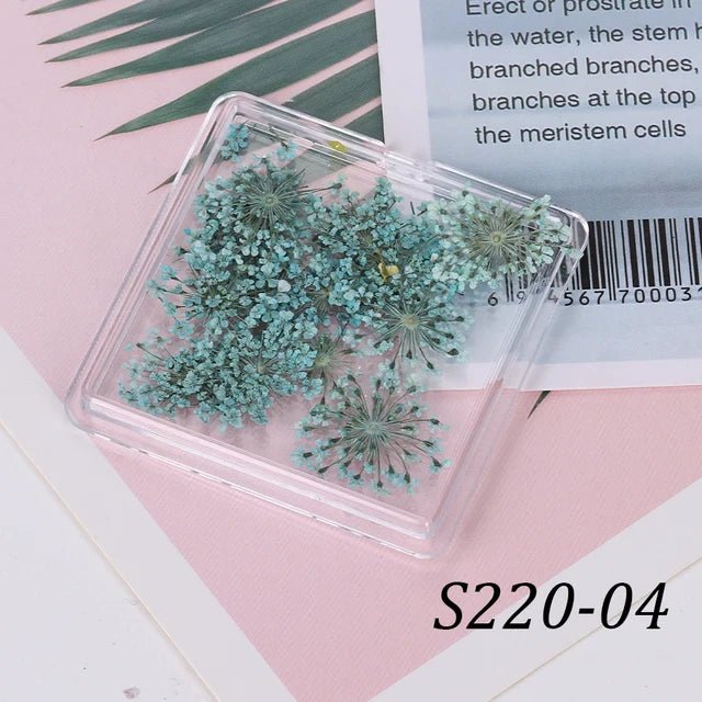 1 Box Natural Real Dry Flower Charm - S220 - 11 - Blue Blush - DTK Nail Supply