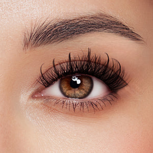 A’dor Beauty DIY Eyelash Extension Box 15 by Beauty sold by DTK Nail Supply