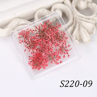 1 Box Natural Real Dry Flower Charm - S220-09