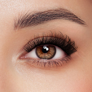  A’dor Beauty DIY Eyelash Extension Box 24 by Beauty sold by DTK Nail Supply