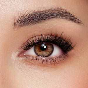  A’dor Beauty DIY Eyelash Extension Box 38 by Beauty sold by DTK Nail Supply