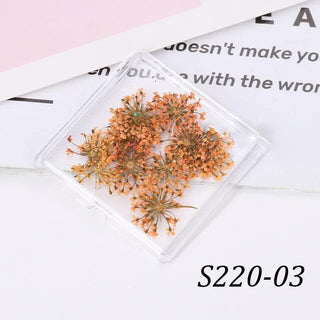 1 Box Natural Real Dry Flower Charm - S220-03