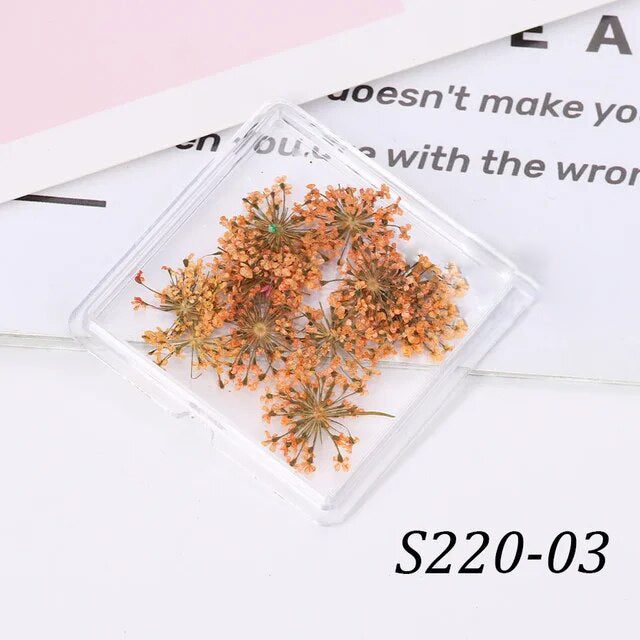  1 Box Natural Real Dry Flower Charm - S220-03 - Orange Frenzy by OTHER sold by DTK Nail Supply