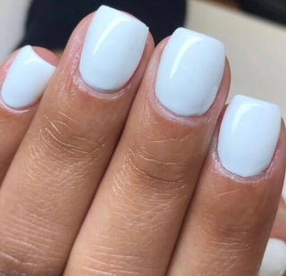  DND Gel Nail Polish Duo - 473 White Colors - French Tips by DND - Daisy Nail Designs sold by DTK Nail Supply