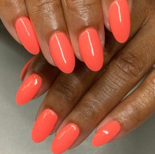  DND Gel Nail Polish Duo - 503 Orange Colors - Orange Smoothie by DND - Daisy Nail Designs sold by DTK Nail Supply