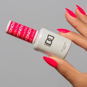  DND Gel Nail Polish Duo - 817 Circus Chic by DND - Daisy Nail Designs sold by DTK Nail Supply