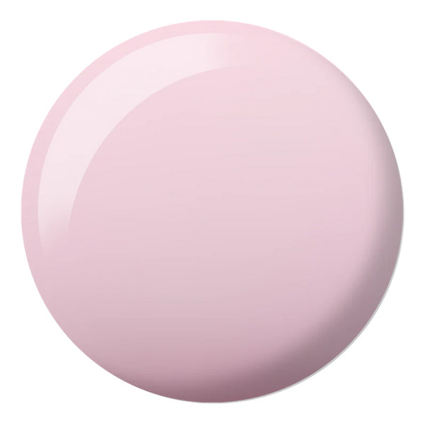 #2528