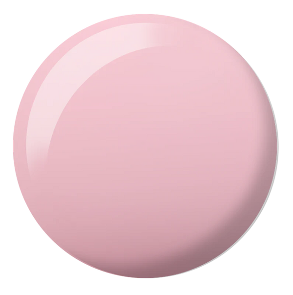 #2529