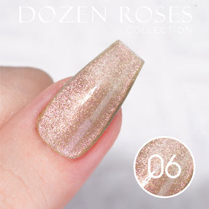  LDS DR06 - Gel Polish 0.5 oz - Dozen Roses Collection by LDS sold by DTK Nail Supply