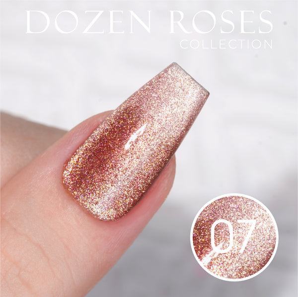  LDS DR 12 Colors - Gel Polish 0.5 oz - Dozen Roses Collection by LDS sold by DTK Nail Supply