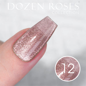 LDS DR 12 Colors - Gel Polish 0.5 oz - Dozen Roses Collection V2 by LDS sold by DTK Nail Supply