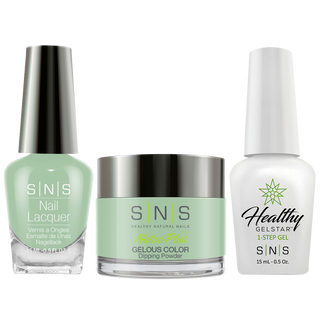  SNS 3 in 1 - DW10 - Dip, Gel & Lacquer Matching by SNS sold by DTK Nail Supply